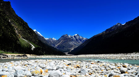 Yumthang Valley